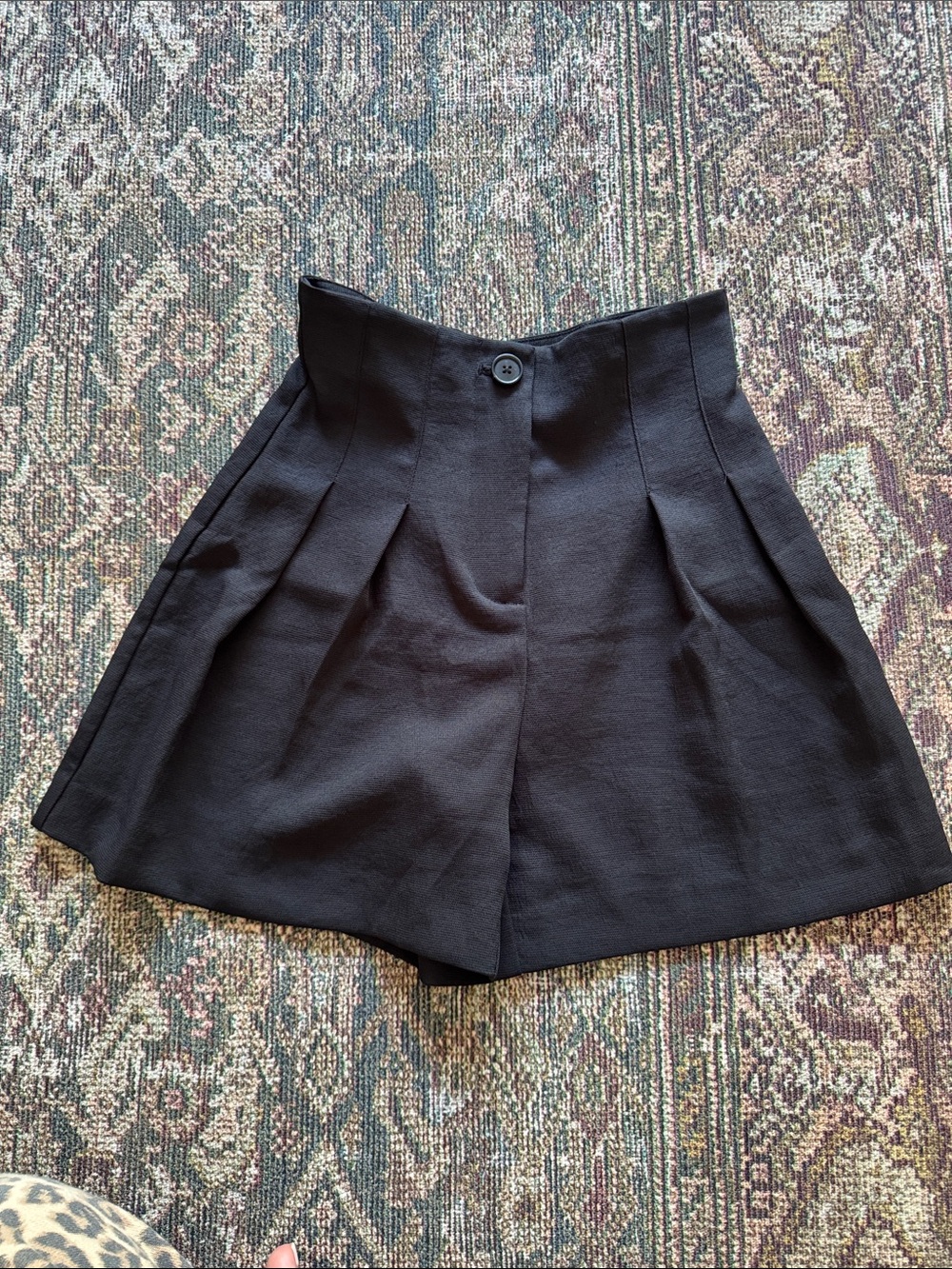 Aritzia/ Wilfred High Waisted Short